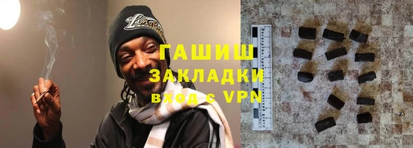 МДПВ Бородино