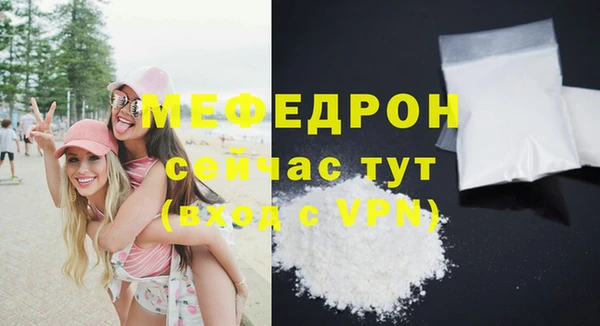 МДПВ Бородино