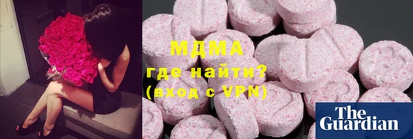МДПВ Бородино
