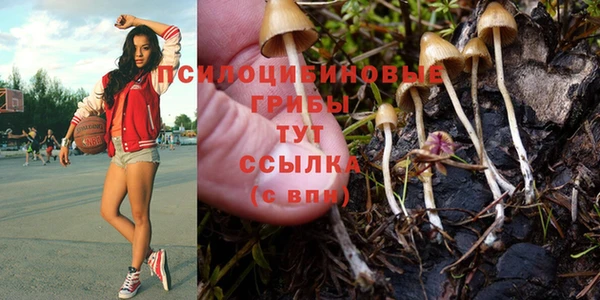 скорость Бугульма