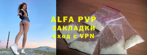 МДПВ Бородино