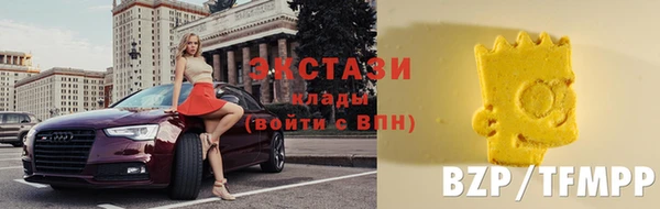 МДПВ Бородино