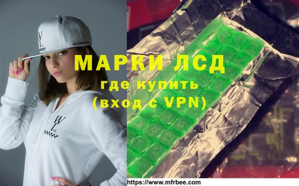 МДПВ Бородино