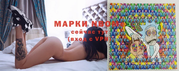 МДПВ Бородино