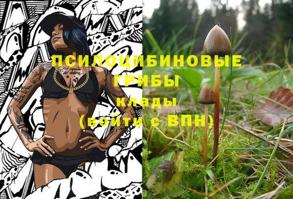 трава Бронницы