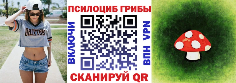 Псилоцибиновые грибы GOLDEN TEACHER  даркнет как зайти  mega онион  Циолковский  цена  